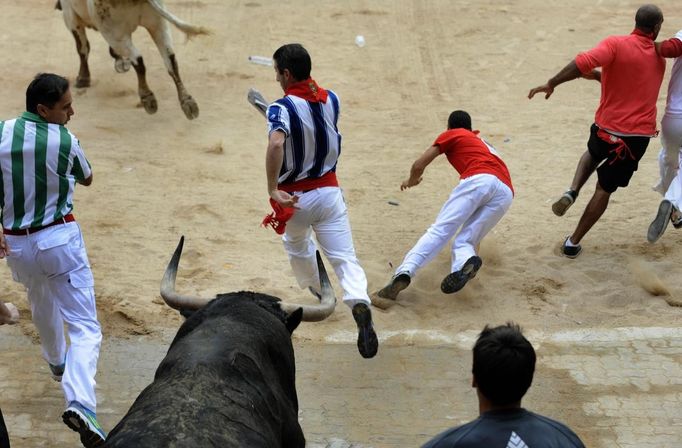 Runners sprint alongside Fuente Ymbro fighting bulls at the entrance to the bullring during the fifth running of the bulls at the San Fermin festival in Pamplona July 11, 2012. Several runners suffered light injuries in a run that lasted three minutes and twelve seconds, according to local media. REUTERS/Eloy Alonso (SPAIN - Tags: ANIMALS SOCIETY) Published: Čec. 11, 2012, 9:06 dop.