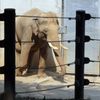 Sloni v pražské ZOO