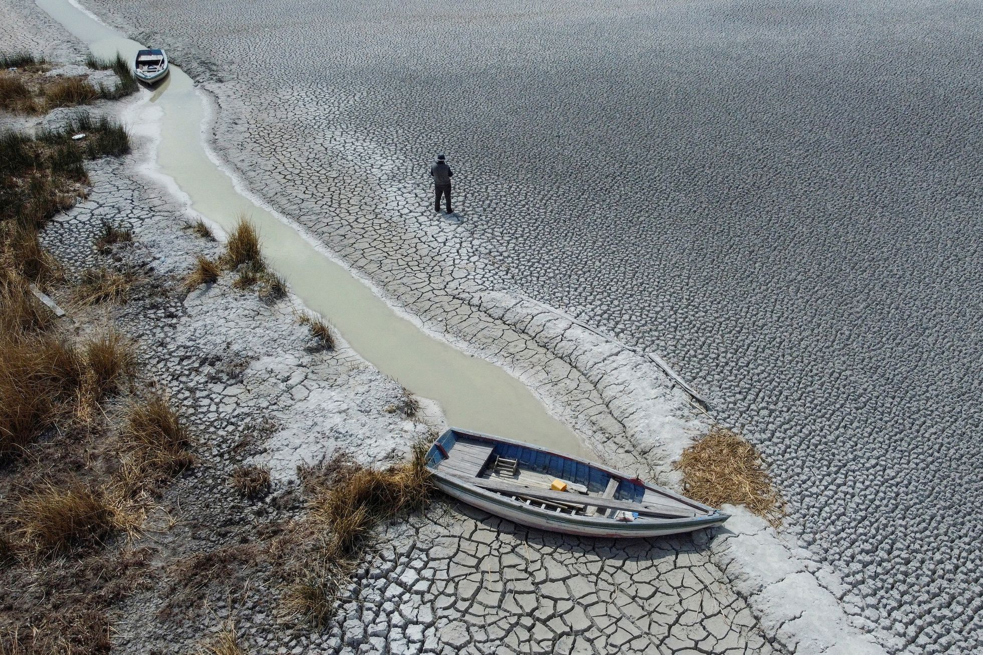 Reuters, nejlepší fotografie, rok 2023, Pictures of the Year 2023, Zahraničí