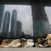 Nejkrásnější snímky Reuters 16. - 22. 2.