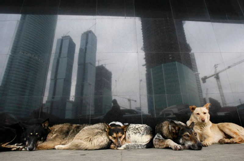 Nejkrásnější snímky Reuters 16. - 22. 2.