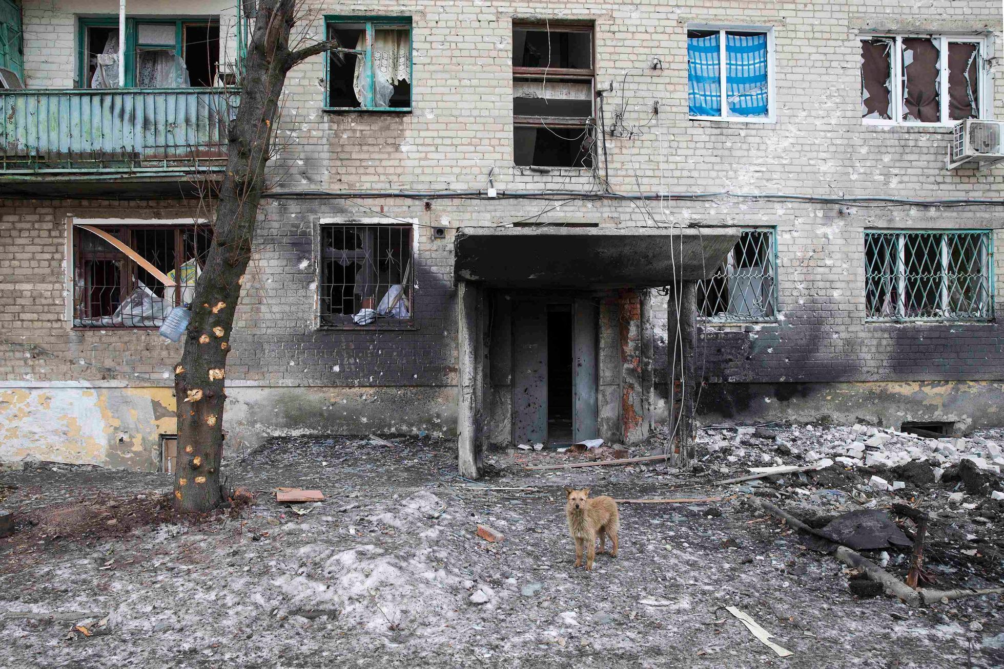Debalceve po boji