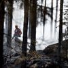 Fotogalerie / Letní vedra v Evropě / Zahraničí / Horko / Léto / Sucho / Požáry / Oheň / Počasí / Reuters / 32