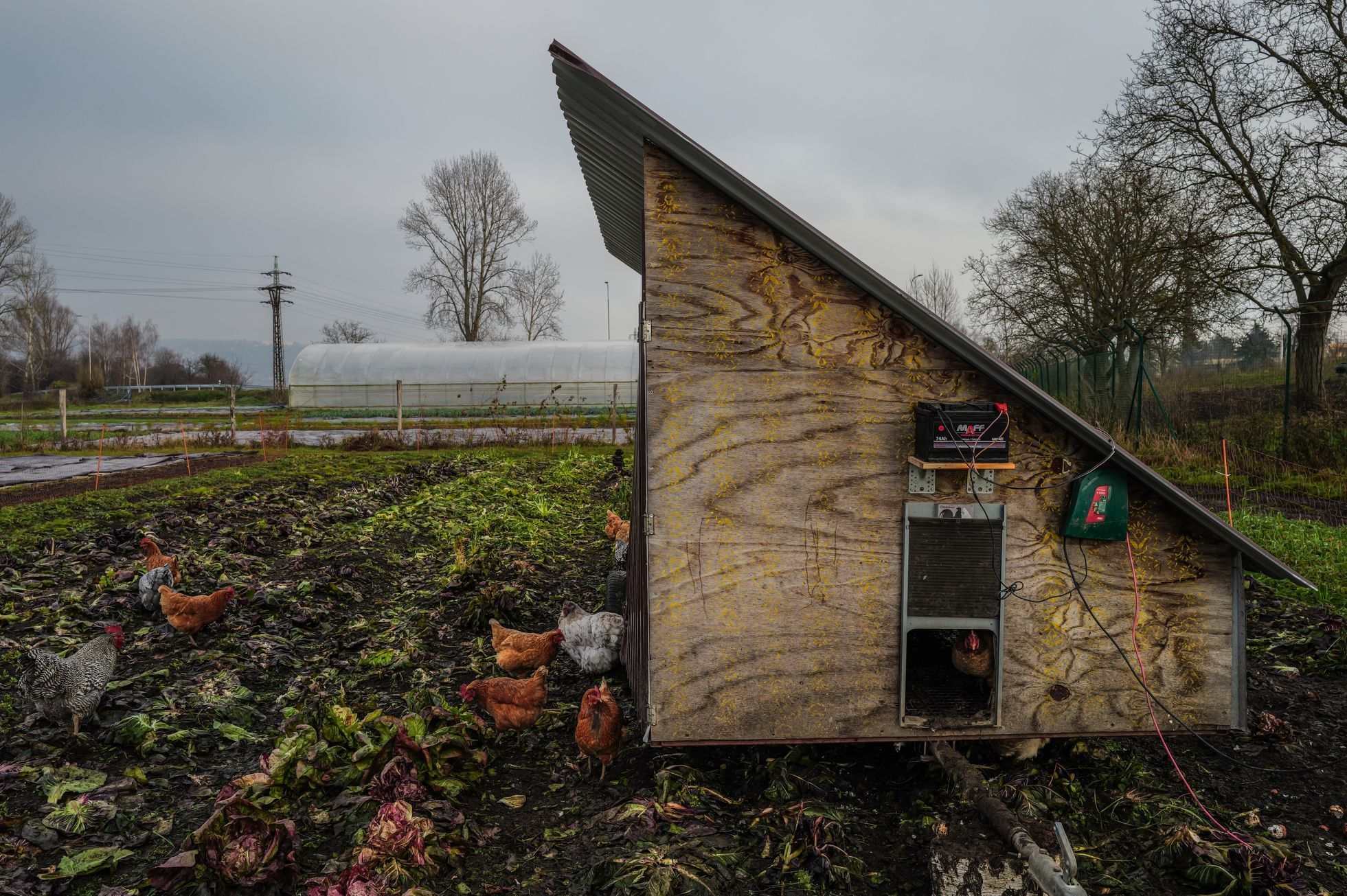 marek slovacek, mezi poli