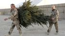 German Bundeswehr army soldiers carry a Christmas tree after it was delivered to the army camp in Kunduz, northern Afghanistan December 2, 2012. REUTERS/Fabrizio Bensch (AFGHANISTAN - Tags: MILITARY CONFLICT SOCIETY) Published: Pro. 2, 2012, 1:19 odp.