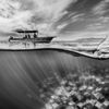 Vítězové soutěže Travel Photographer of the Year 2023