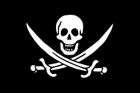 Lovci pirátů ukradli hudbu ke své protipirátské kampani
