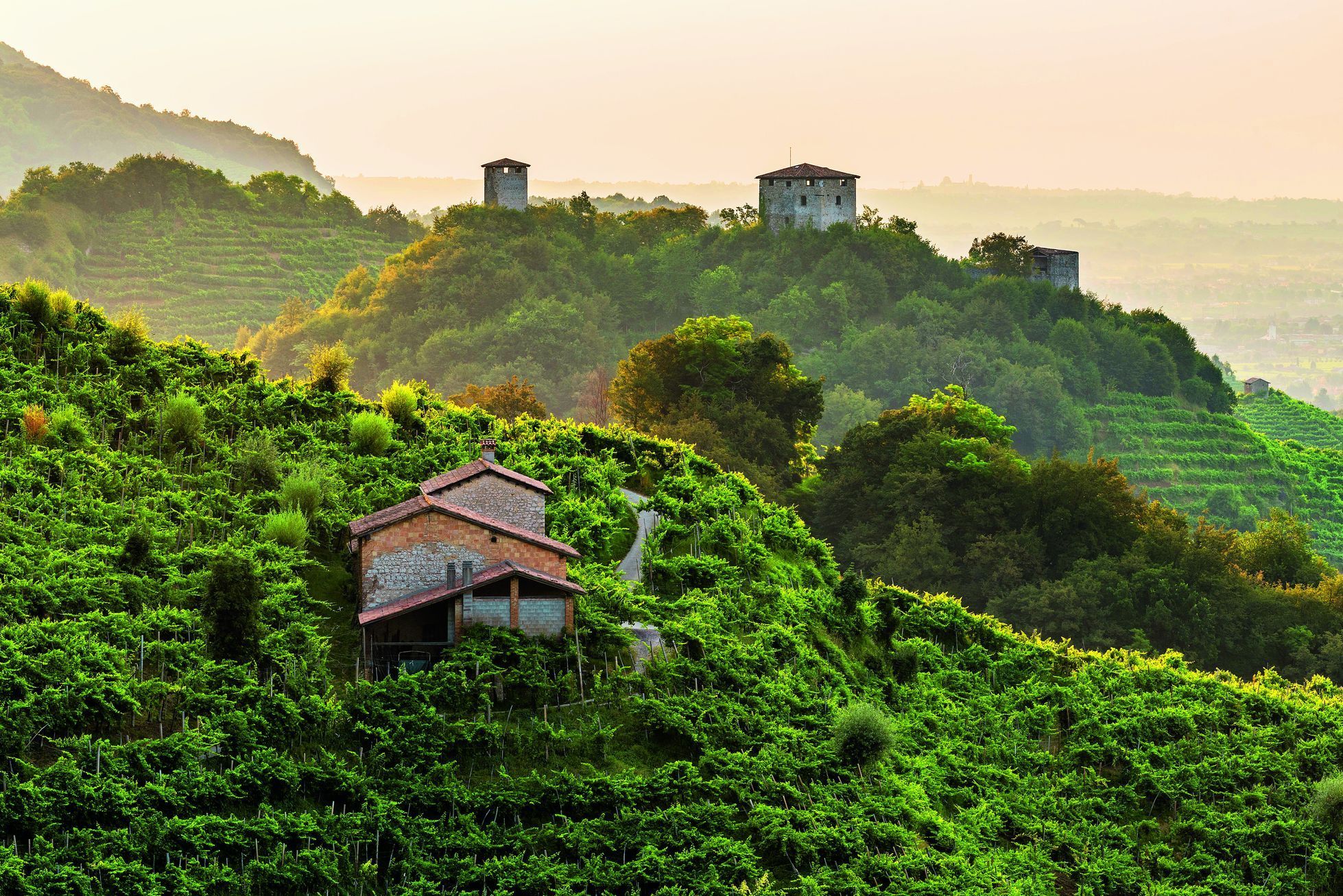 Vinařský region Conegliano Valdobbiadene, Itálie