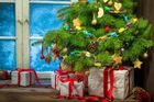 Vánoční tradice: Proč pečeme cukroví a házíme botou?