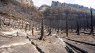 "Hasiči pořád zmenšují zásahovou plochu, požár se jim daří ohraničovat. Ke konci týdne či začátkem příštího by uhašené požářiště mohli předat správě národního parku. Ta převezme požární hlídky a dohašování menších míst," říká mluvčí Národního parku České Švýcarsko Tomáš Salov.