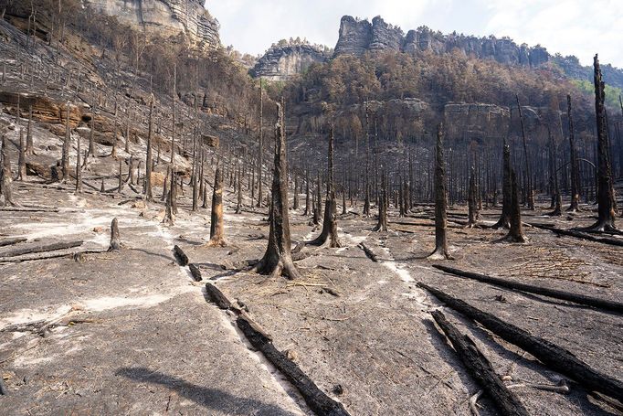 Pravčický důl v úterý 2. srpna 2022