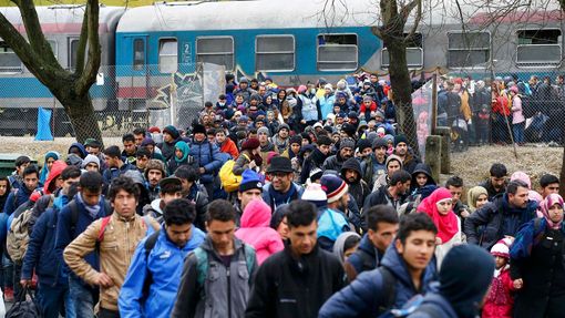 Uprchlíci ve slovinské vesnici Sentilj u hranic s Rakouskem. Vídeň omezila vyřizování žádostí o azyl na 80 denně, Slovinci tvrdí, že jejich maximum je 580.