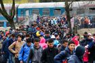 O azyl v Česku letos požádalo 235 cizinců, o 52 méně než loni. Nejčastěji o něj usilují Ukrajinci
