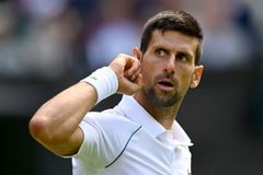 Drsný los. Kopřiva vyzve na úvod Wimbledonu Djokoviče
