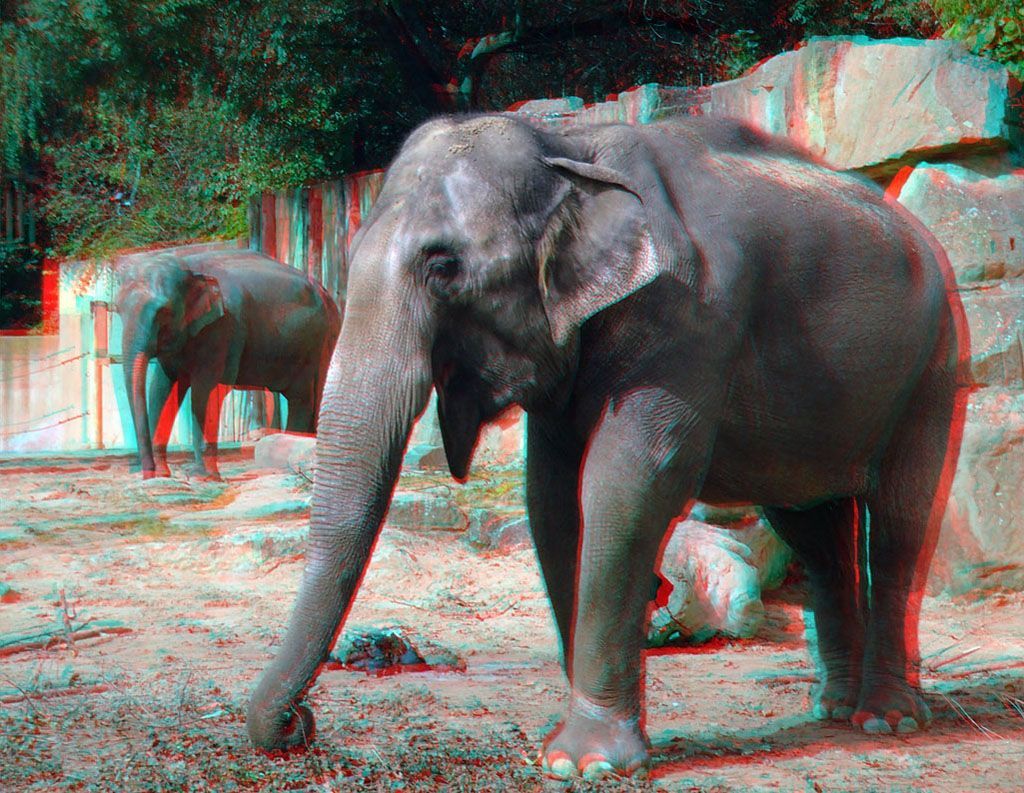 ZOO 3D