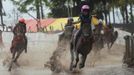 Child jockeys race their horses during a final race at Panda horsetrack outside Bima, November 17, 2012. Dozens of child jockeys, some as young as eight-years-old take part in the races. Involving nearly 600 horses they take place around a dusty, oval track of 1,400 meters (nearly one mile). The reward, for the winner is a handful of cash for his family, and glory for the jockey. The grand prize is one million rupiah ($100). Those who win their groups get two cows. The chairman of the races' organising team, Hajji Sukri, denies that there is any danger to the children saying they are all skilful riders and none has been killed or seriously hurt. Picture taken November 17, 2012. REUTERS/Beawiharta (INDONESIA - Tags: SPORT SOCIETY) ATTENTION EDITORS: PICTURE 13 of 25 FOR PACKAGE 'BETTING ON CHILD JOCKEYS' Published: Lis. 24, 2012, 9:16 dop.