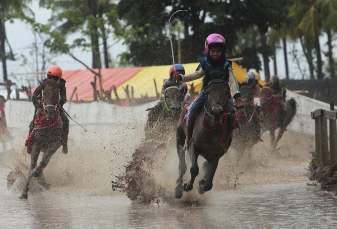 Child jockeys race their horses during a final race at Panda horsetrack outside Bima, November 17, 2012. Dozens of child jockeys, some as young as eight-years-old take part in the races. Involving nearly 600 horses they take place around a dusty, oval track of 1,400 meters (nearly one mile). The reward, for the winner is a handful of cash for his family, and glory for the jockey. The grand prize is one million rupiah ($100). Those who win their groups get two cows. The chairman of the races' organising team, Hajji Sukri, denies that there is any danger to the children saying they are all skilful riders and none has been killed or seriously hurt. Picture taken November 17, 2012. REUTERS/Beawiharta (INDONESIA - Tags: SPORT SOCIETY) ATTENTION EDITORS: PICTURE 13 of 25 FOR PACKAGE 'BETTING ON CHILD JOCKEYS' Published: Lis. 24, 2012, 9:16 dop.