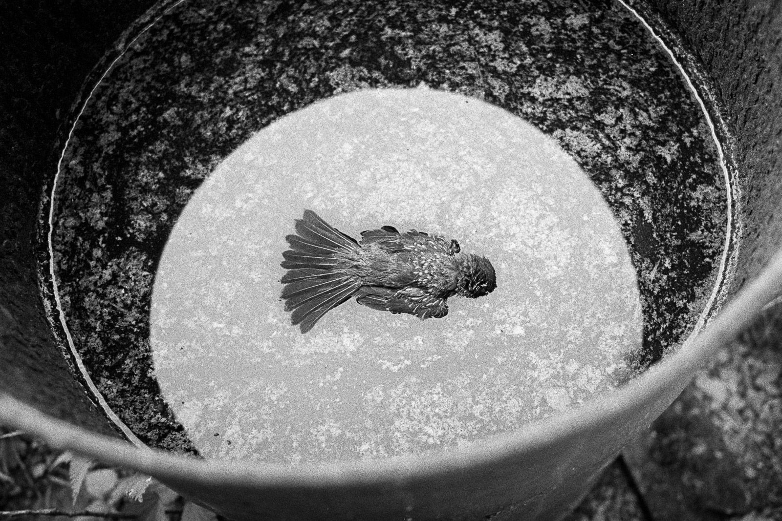 Dan Šperl - Všednosti (ukázky ze stejnojmenné výstavy fotografií)