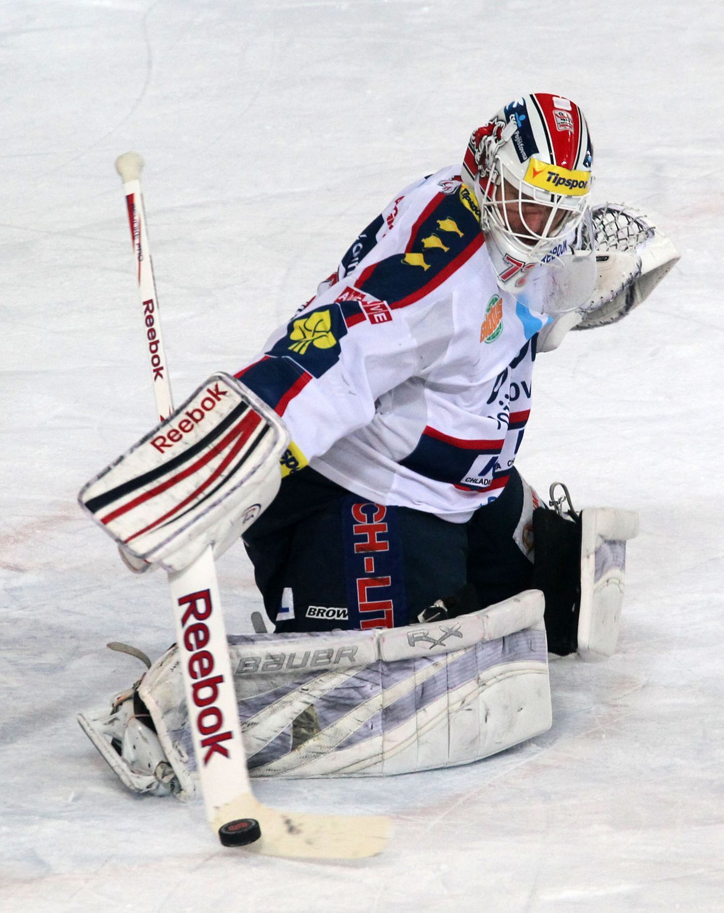 Hokejová extraliga, Sparta - Pardubice: Dušan Salfický