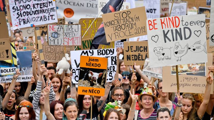 "Zvířata cítí bolest jako my." Stovky lidí protestovaly proti týrání a množírnám