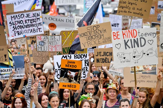 Demonstrace proti týrání zvířat.