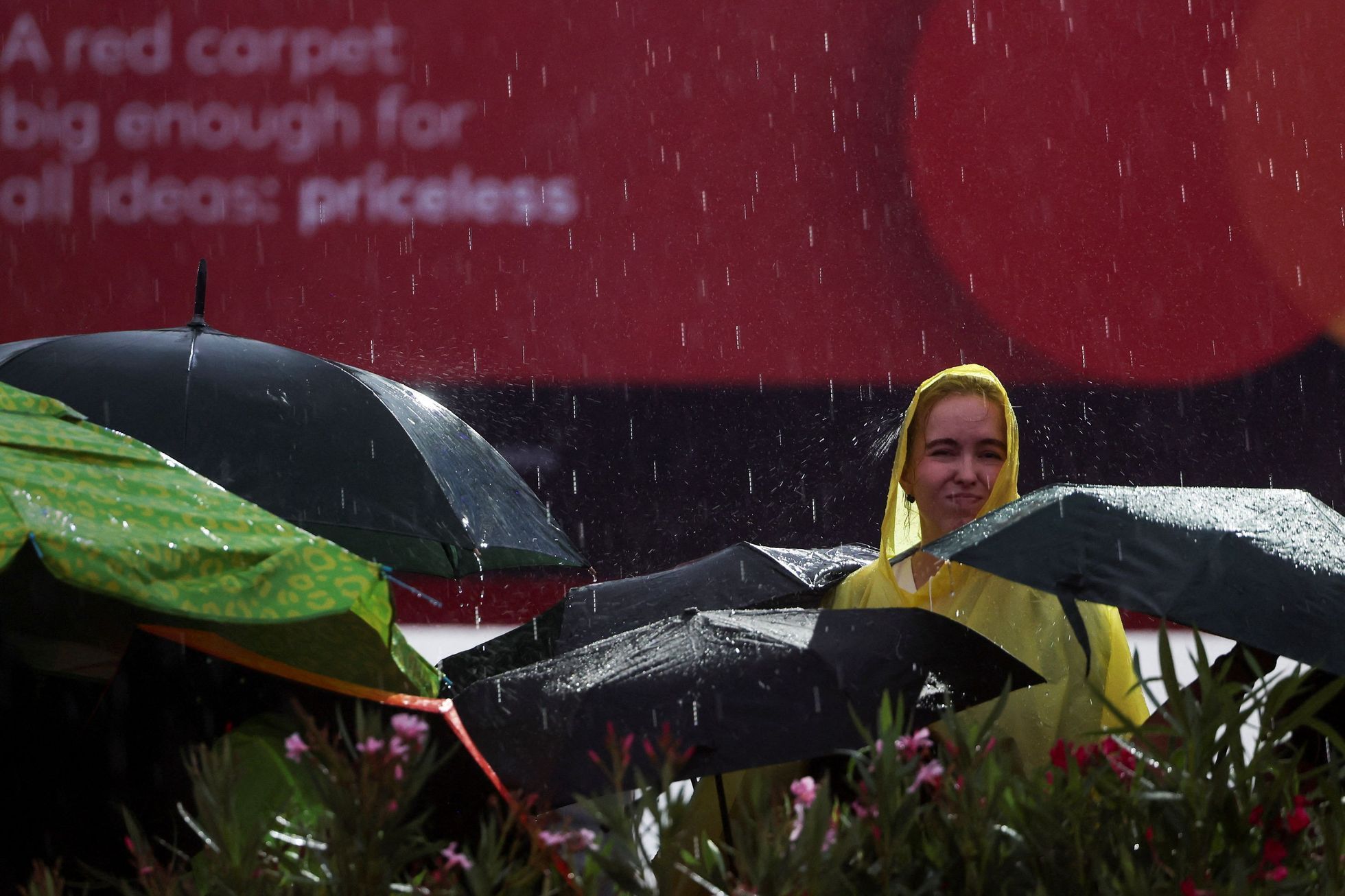 Benátský filmový festival, 82. ročník, červený koberec