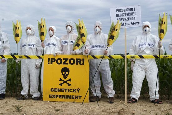 Protest proti GMO