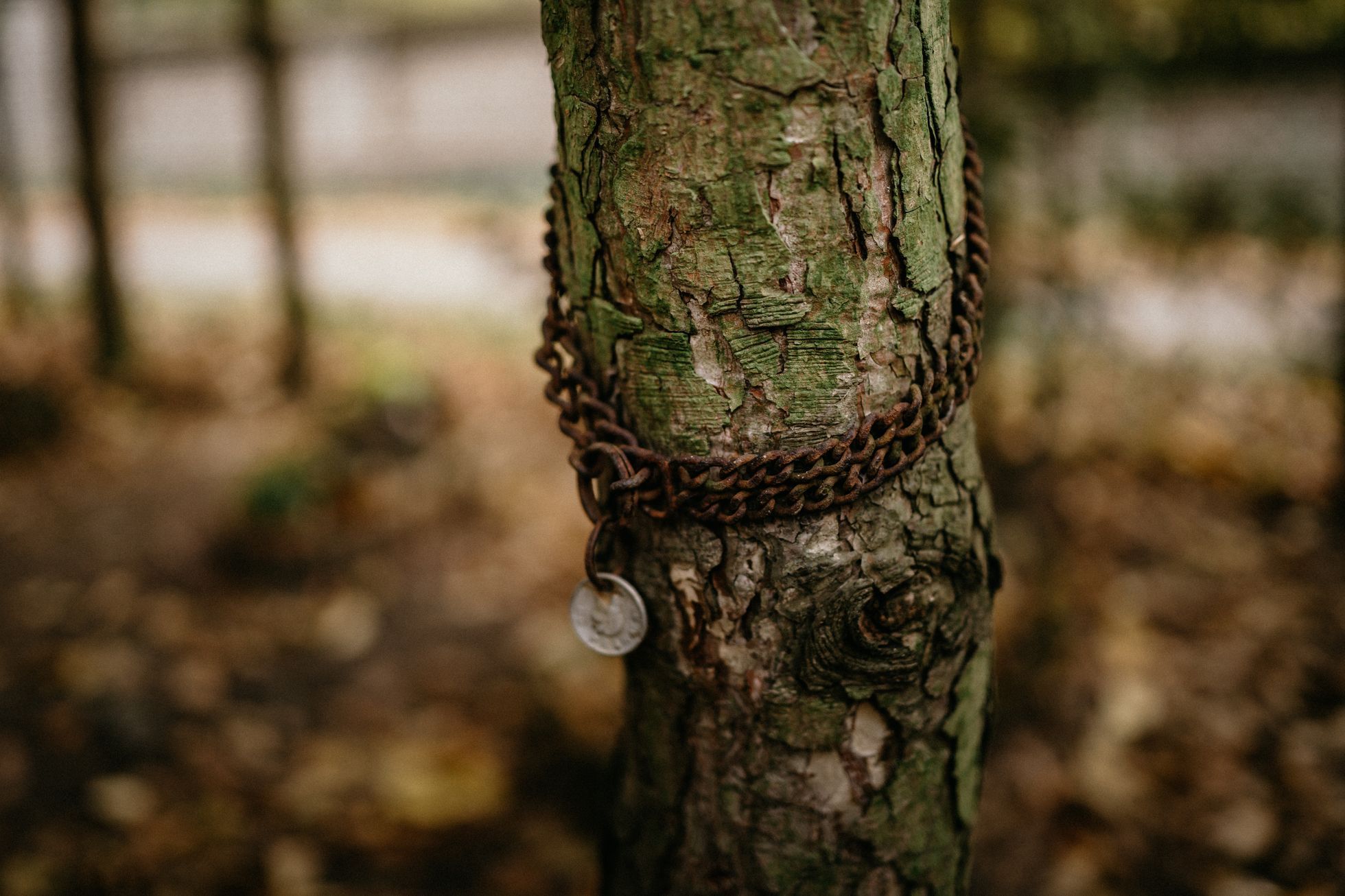 hřbitov Bohnice hřbitov bláznů