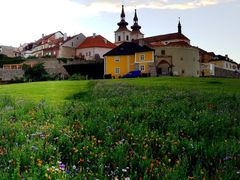 Květnatá louka na Špitálském předměstí v Kadani