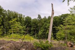 Místo 17 retenčních nádrží jen čtyři. Resort zemědělství chyboval, tvrdí NKÚ