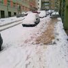 Kalamita očima čtenářů