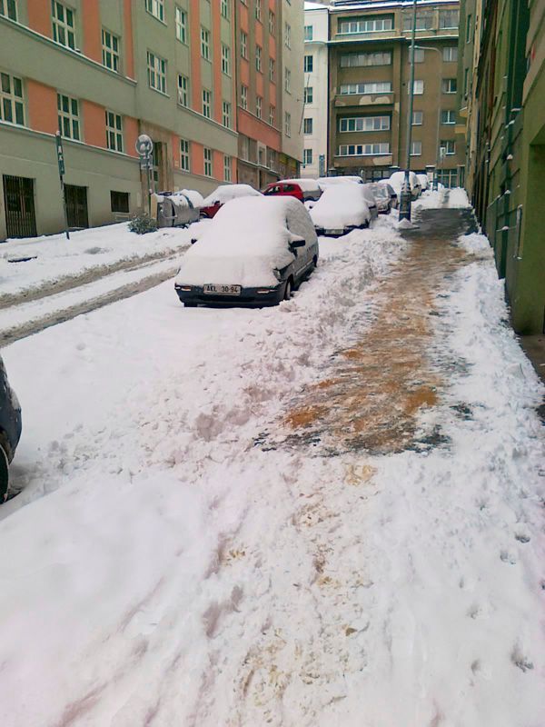 Kalamita očima čtenářů