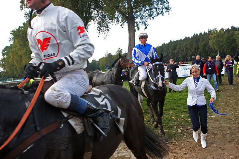 Velká pardubická 2011