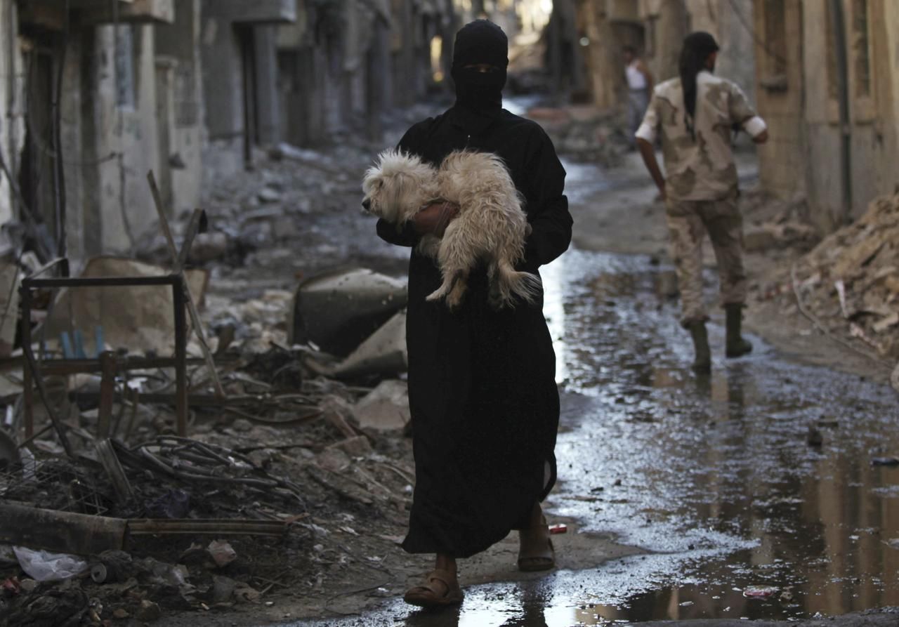 Sýrie - pes - povstalci