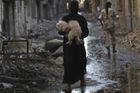 Němí svědci války. V Sýrii trpí miliony domácích mazlíčků, Evropané si je "adoptují"