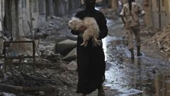 Sýrie - pes - povstalci