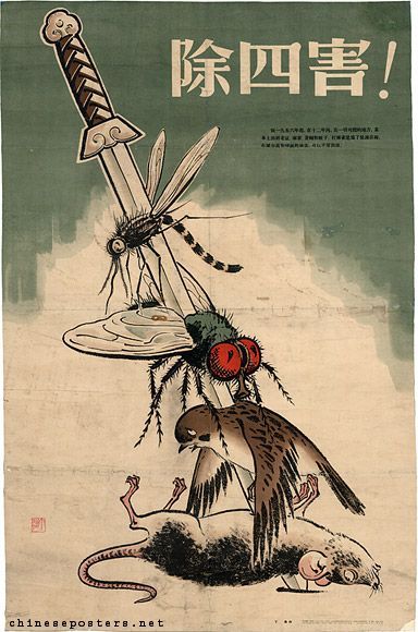 čína mao ce-tung vrabci vybíjení propaganda plakát