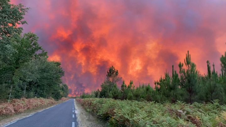 Hasiči stále nemají pod kontrolou požár u Bordeaux, oheň se dál šíří; Zdroj foto: Reuters