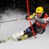 Wengen - Lauberhorn - Světový pohár (sjezdové lyžování): Ivica Kostelič