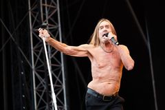 Iggy Pop na Colours. Divoký posel minulosti kulhá, ale pořád chce "být tvůj pes"