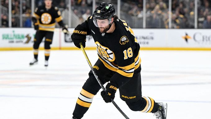 Vítězný gól Pavla Zachy šest minut před koncem prodloužení duelu Bostonu s Ottawou