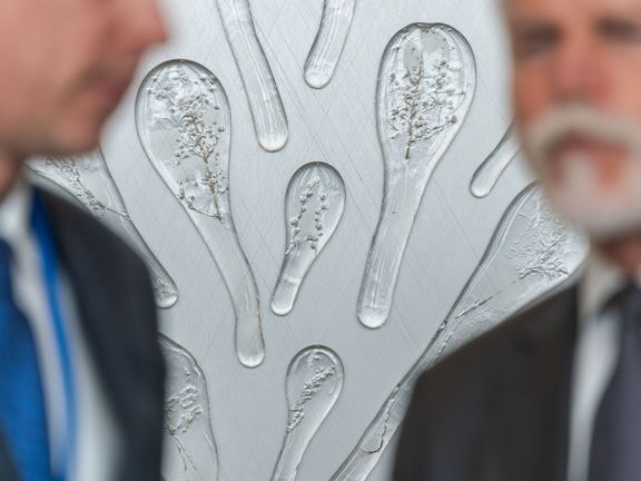 Sídlo OSN v New Yorku se může chlubit kusem českého umění. Za účasti prezidenta Petra Pavla byl slavnostně odhalen dar v podobě skleněné instalace Herbarium.