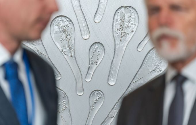 Sídlo OSN v New Yorku se může chlubit kusem českého umění. Za účasti prezidenta Petra Pavla byl slavnostně odhalen dar v podobě skleněné instalace Herbarium.