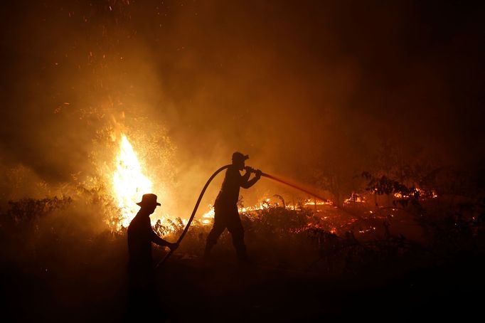 Požár v indonéském tropickém pralese. Září 2019.