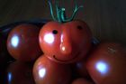 A zde je rajče Fešák, které vyrostlo v létě 2016 na zahrádce v Králově Dvoře - Počaplech. Tehdy desetileté Danielce dělalo několik dnů kamaráda.
