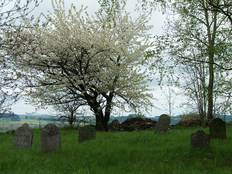Židovský hřbitov u obce Prudice