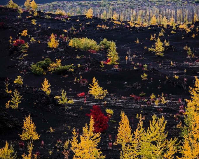 Nejlepší fotografie krajin a přírody ze soutěže Sony World Photography Awards 2021