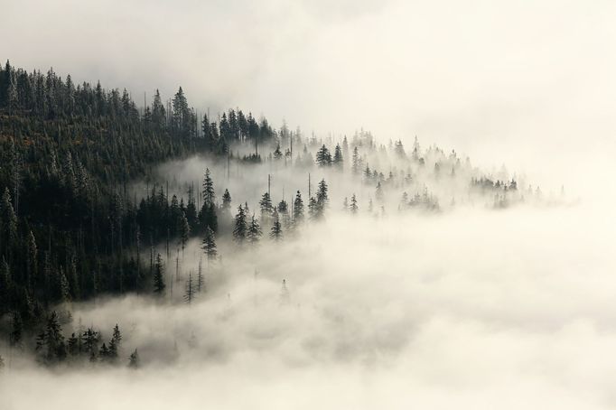 Inverze v Krkonoších. Snímek z roku 2013