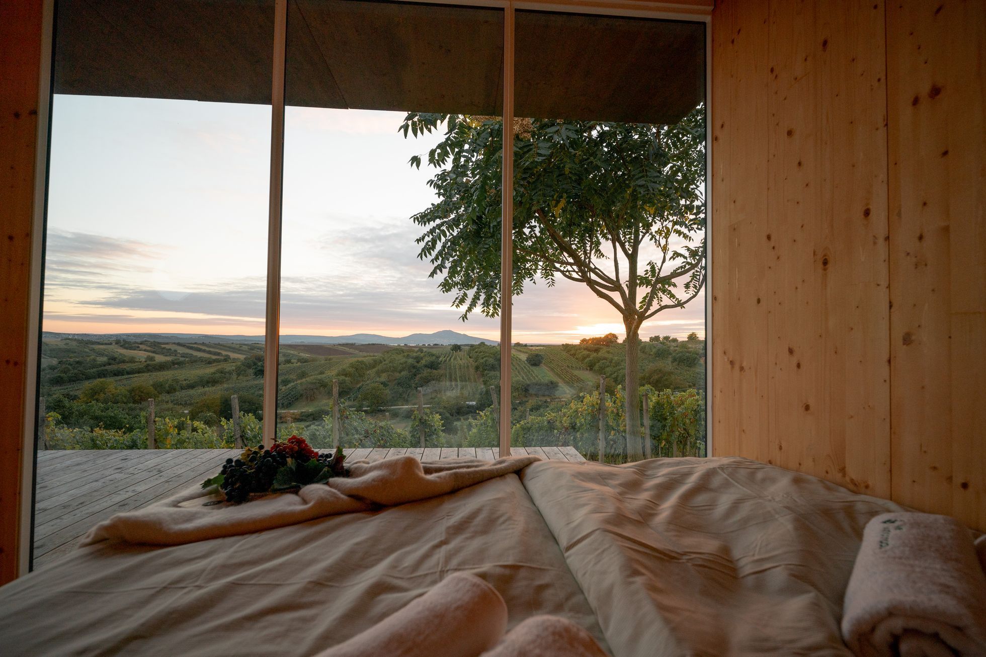 Glamping Ve vinohradě
