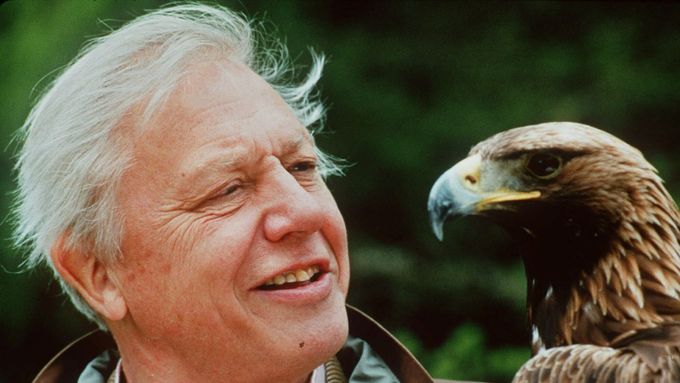 David Attenborough s orlem skalním, 2009.
